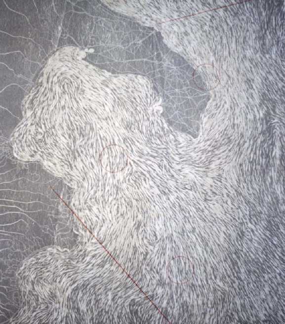 13184106.jpg (21414 byte)