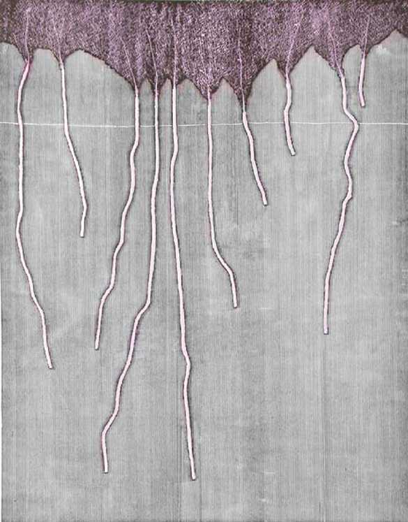 13184106.jpg (21414 byte)