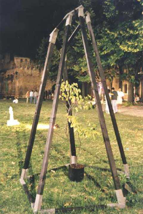 13184106.jpg (21414 byte)