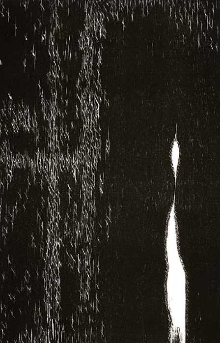 13184106.jpg (21414 byte)